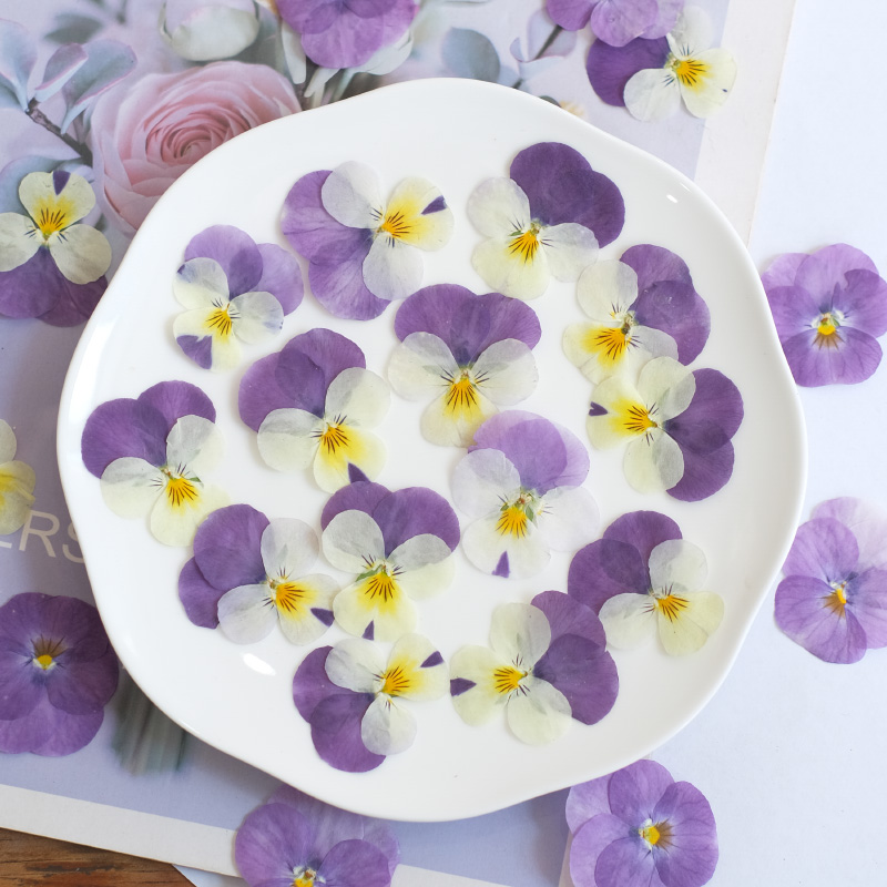 12 Stück, Natur Stiefmütterche – Beauty Makeup Bridal Bewertung und Preis